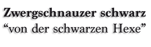 Zwerschnauzerschwarz.de